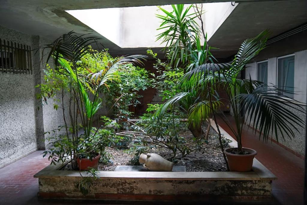 San Peter View Apartment Rome Luaran gambar